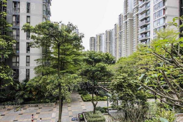 金地香蜜山|靜謐精裝大三房|客廳出陽臺|居住舒適