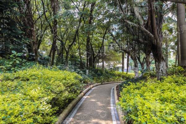 翠海花園|香蜜公園旁，東南向海景中空復式，誠心出售