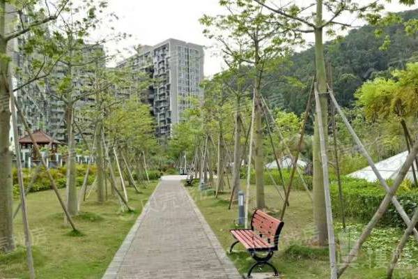 南山蛇口山海津|水景住宅,軌道沿線,觀景居所,投資地產