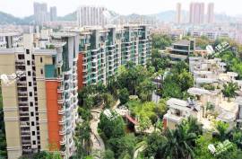 中山奕翠园，香港新鸿基登录中山，首期5万(减)，现楼即住，香港银行按揭，最新价单，中港专车免费上门接载睇楼